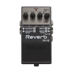 Boss RV 6