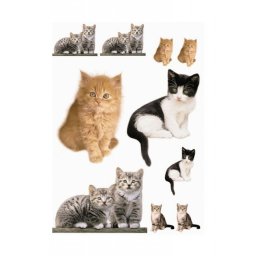 Sticker de copii "Kitty