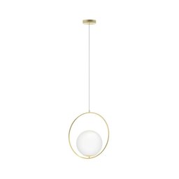 Lustră pe cablu JUMBO 1xG9/50W/230V auriu Azzardo AZ4983