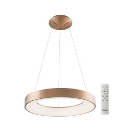 Azzardo AZ5009 - Lustră LED dimabilă pe cablu SANTANA LED/50W/230V auriu + + telecomandă