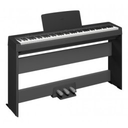 Yamaha P-145B Set 2