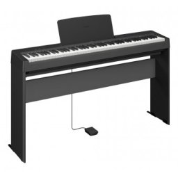 Yamaha P-145B Set 1