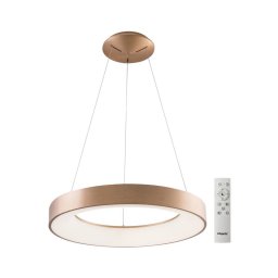 Azzardo AZ5013 - Lustră LED dimabilă pe cablu SANTANA LED/80W/230V auriu + + telecomandă