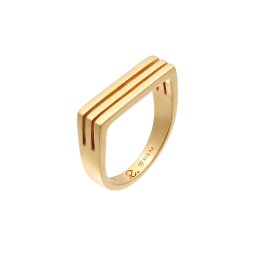 ELLI PREMIUM Inele auriu