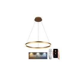 Lustră LED dimabilă pe cablu LED/42W/230V 3000-6500K + telecomandă