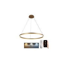 Lustră LED dimabilă pe cablu LED/55W/230V 3000-6500K + telecomandă