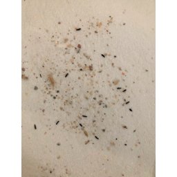 Supliment Canari, Farma White Sands, 20 kg