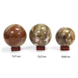 Sfera Fosil Lemn Mineral Natural 60-72 x 60-72 mm - 1 Buc