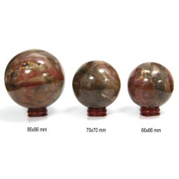 Sfera Fosil Lemn Druzy Mineral Natural 66-86 x 66-86 mm - 1 Buc