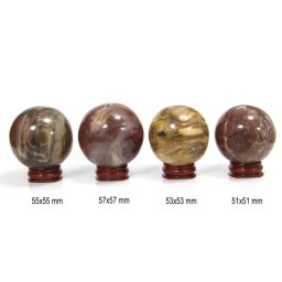 Sfera Fosil Lemn Mineral Natural 51-57 x 51-57 mm - 1 Buc