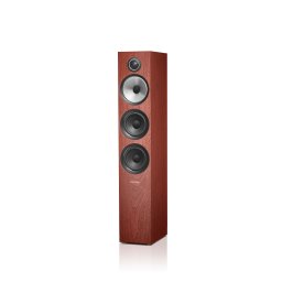 Boxe Bowers & Wilkins 704 S2 Rosenut