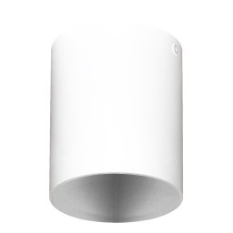 Spot Aplicat POLASSO PRO 63187