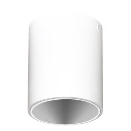 Spot Aplicat POLASSO PRO 63451