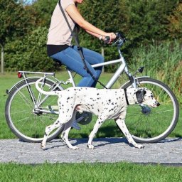 TRIXIE Lesă pentru bicicletă și jogging