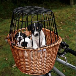 TRIXIE Cos transport pentru bicicleta, din rachita