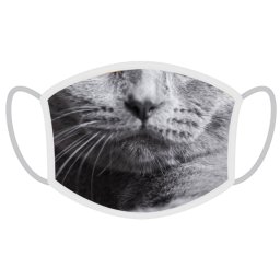 FERA Mască de protecție Brittish Cat