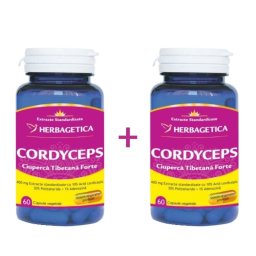 Cordyceps 120cps Herbagetica