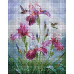 Set goblen cu diamante, cu sasiu, Cantecul verii, 40x50 cm