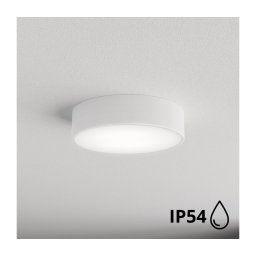 Plafonieră pentru baie CLARE 2xE27/24W/230V d. 30 cm alb IP54 BRILAGI
