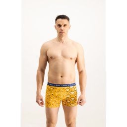 Men's boxers Frogies Zodiac Berbec