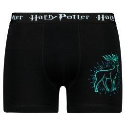 Men's boxer Harry Potter - Frogies
