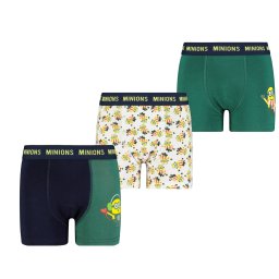 Boxeri barbati, Licensed