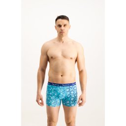 Men's boxers Frogies Zodiac Vărsător
