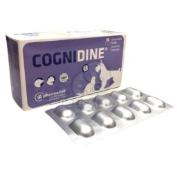 Cognidine - tablete pentru câini și pisici 60 buc.