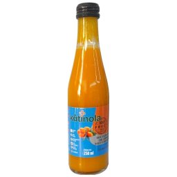 Suc de Catina cu Sirop de Agave Eco 250ml Katinola