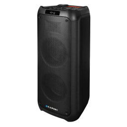 Boxa portabila PB10DB,BT cu karaoke negru