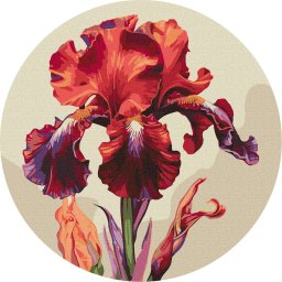 Set pictura pe numere rotunda, cu sasiu, Iris magic, O33cm