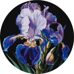 Set pictura pe numere rotunda, cu sasiu, Iris delicat, O33cm