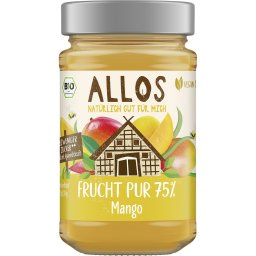 Dulceata de mango cu sirop de agave bio 250g