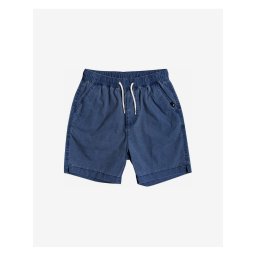 Taxer Quiksilver Shorts - Men