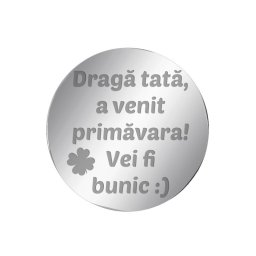 Martisor Brosa Inox Banut Argintiu Cea mai frumoasa veste
