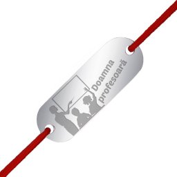 Martisor Bratara Inox Placuta Argintie Tabla Profesoara