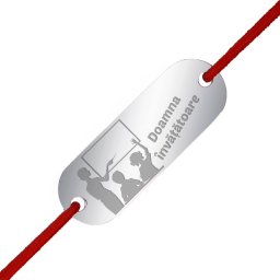 Martisor Bratara Inox Placuta Argintie Tabla Invatatoare