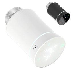 Secutek Cap termostatic inteligent ZigBee 3.0 Negru