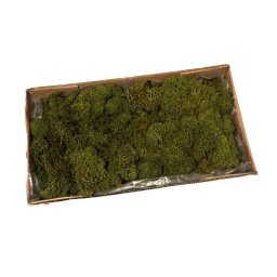 Muschi decorativ necuratat 500g pentru aranjamente florale
