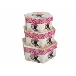 Cutii hexagon pentru flori set 3 buc