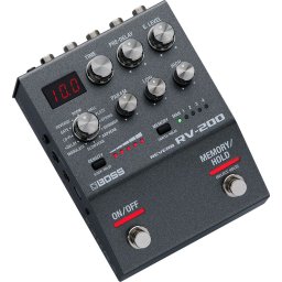 Boss RV-200