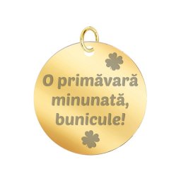Martisor Pandantiv Inox Banut Auriu Urare Bunic