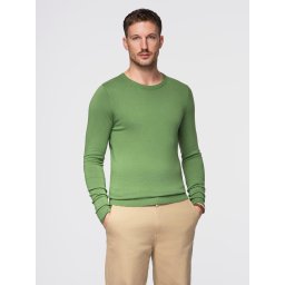 Ombre Classic men's sweater with round neckline - green