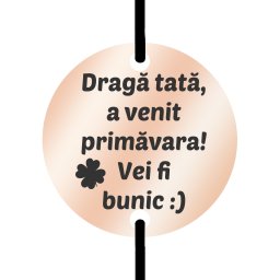 Martisor Bratara Inox Barbati Banut Rose Gold Cea mai Buna Veste