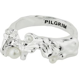 Pilgrim Inele argintiu