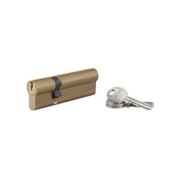 Cilindru 30 x 65 mm, standard, HG5, 3 chei