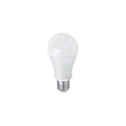 Bec LED PITT A60 AC/DC E27/12W/24V 4000K