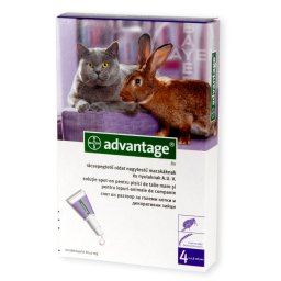 1x Advantage cat 4-8kg pipeta antiparazitara pisici