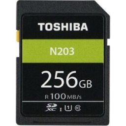 Card memorie SD Exceria R100 N203 256GB