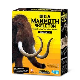 Joc sapa si descopera un dinozaur, Mamut , 4M